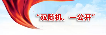 “双随机、一公开”
